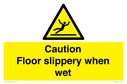 caution-floor-slippery-when-wet~